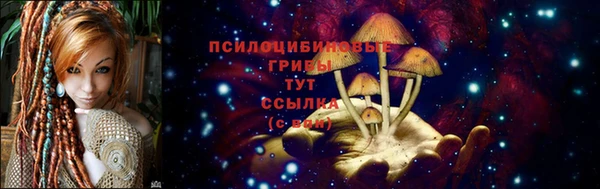 mdpv Навашино