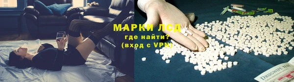 сатива Наволоки