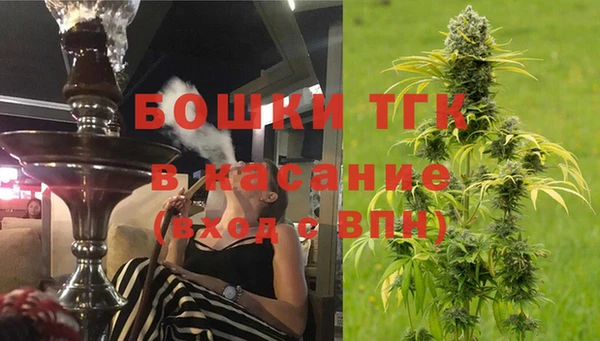 сатива Наволоки