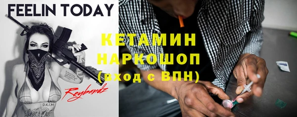сатива Наволоки