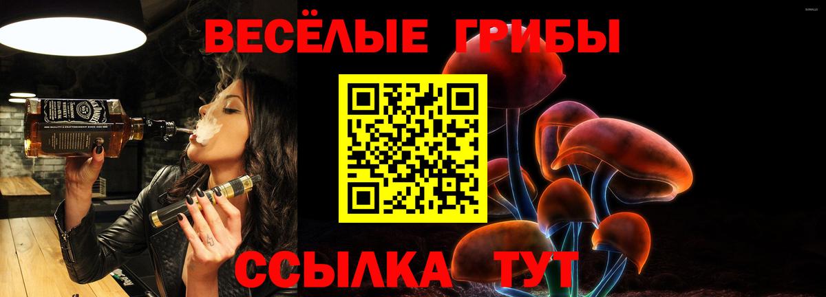 Псилоцибиновые грибы Cubensis  Севастополь 